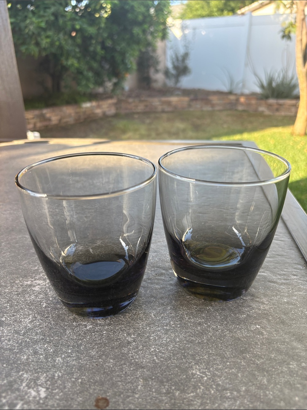 Modern Smoke Glass Tumbler Set - 2 Pack